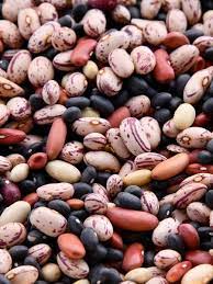 Plantação de feijão no PR está menor, mas produtividade fará safra aumentar